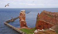 Heldagstur til Helgoland