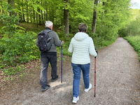 Ergonomiske vandrestave