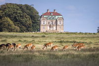 Four Points Flex by Sheraton Lyngby